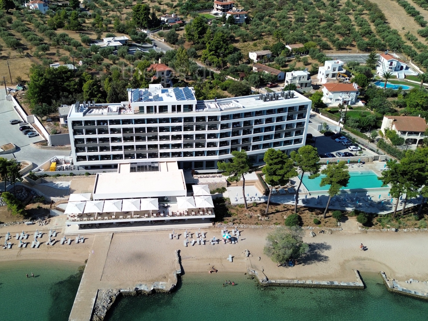 https://theros.gr/data_interface/images/CATH-00320-2024-05.01-60.jpg